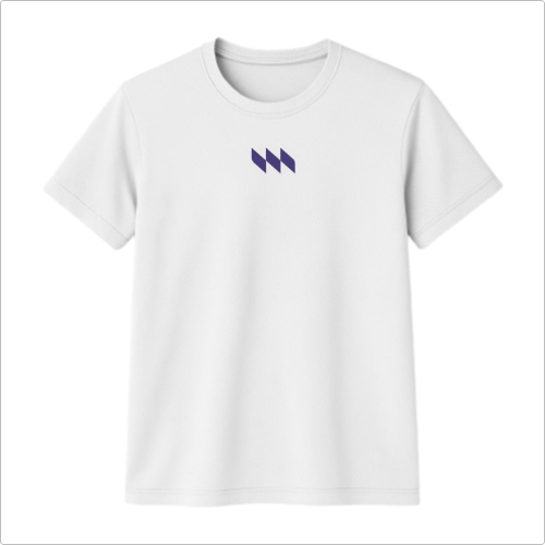 Camiseta Dryfit - Mestrinho JJ - Logo Roxo